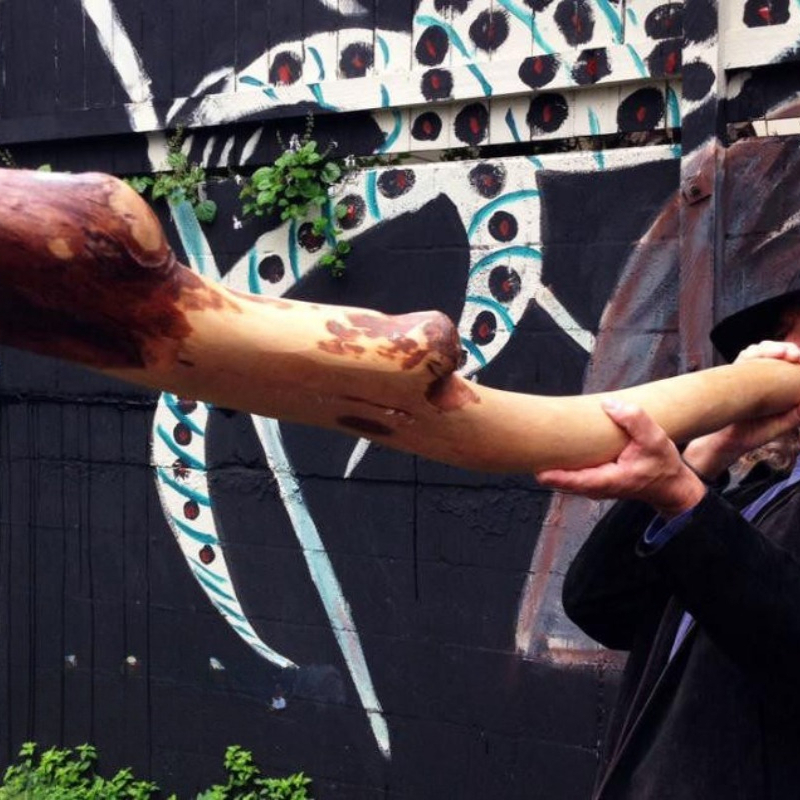 Musical Instrument Didgeridoo - Strumenti musicali importati dall'Australia, didgeridoo in
