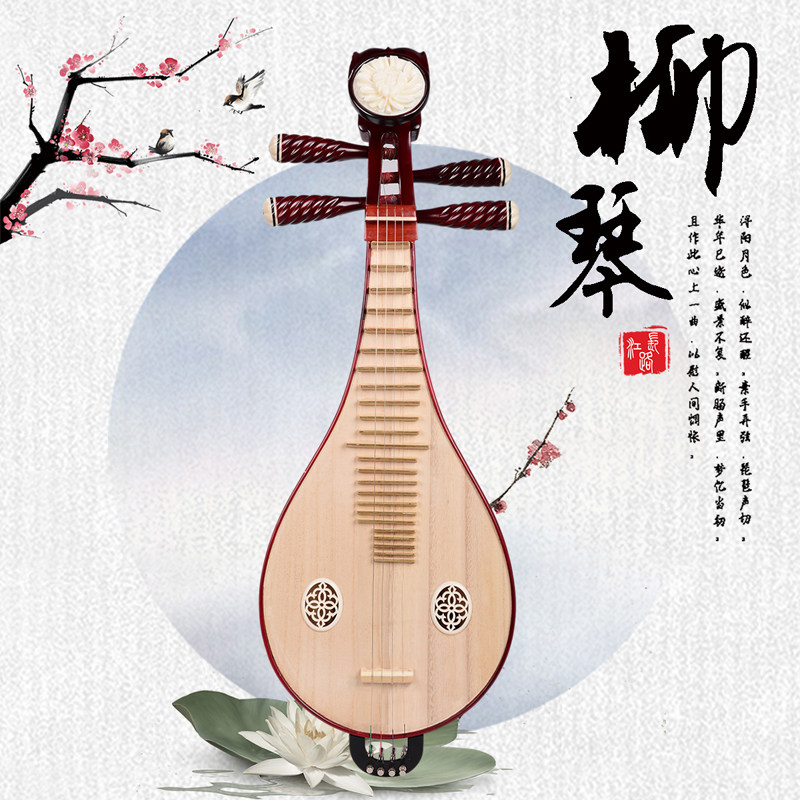 Musical Instrument Of - Liuqin Professionale per Esibizioni e Esami,