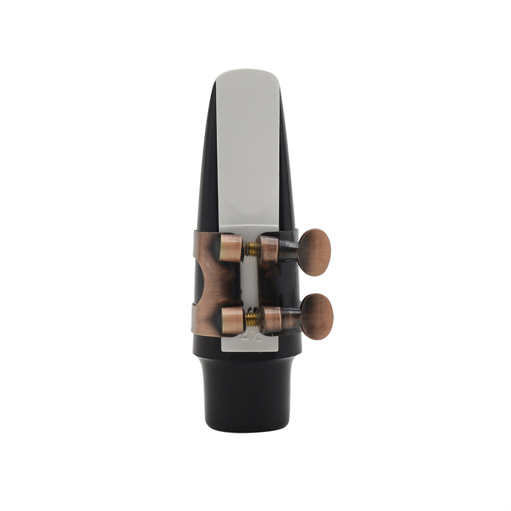 Ance per sassofono contralto E - Musical Instrument Oboe recensione e prezzo