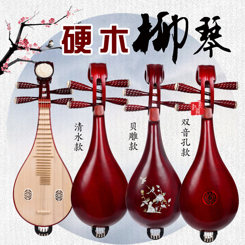 Liuqin Professionale per Esibi - Musical Instrument Of recensione e prezzo