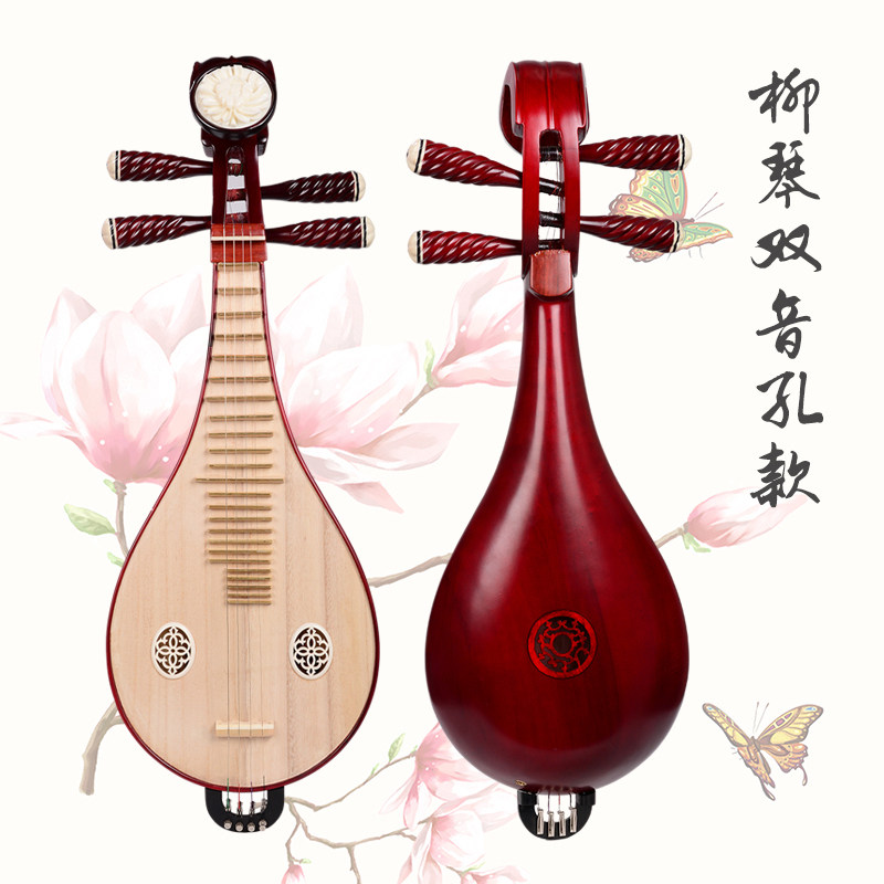 Liuqin Professionale per Esibi - Musical Instrument Of recensione e prezzo