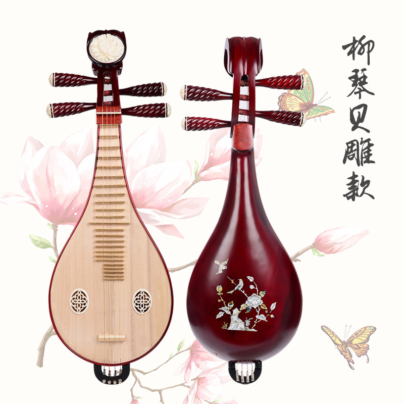 Liuqin Professionale per Esibi - Musical Instrument Of recensione e prezzo