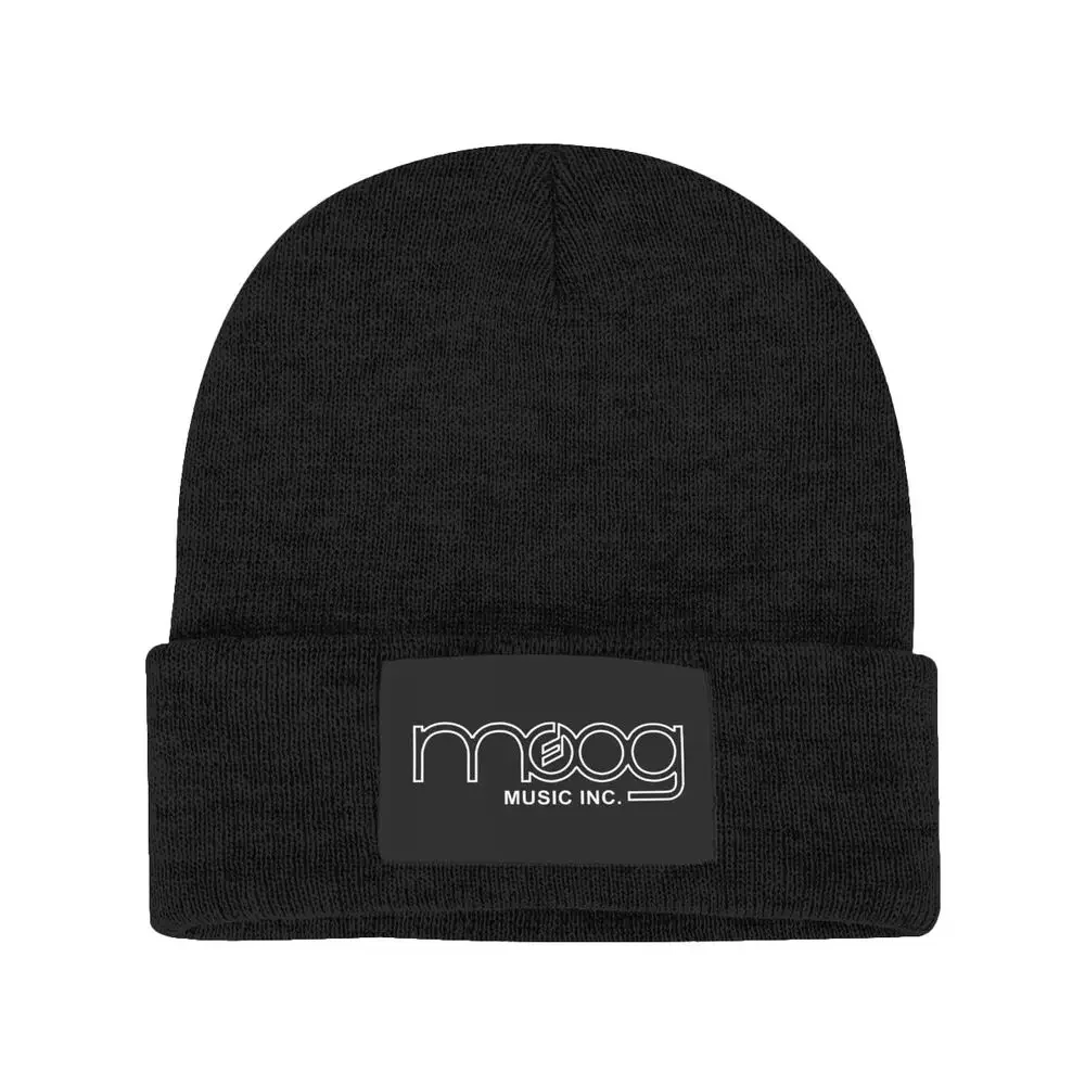 Moog Synthesizer Mogue Strumen - Musical Instrument Logo recensione e prezzo