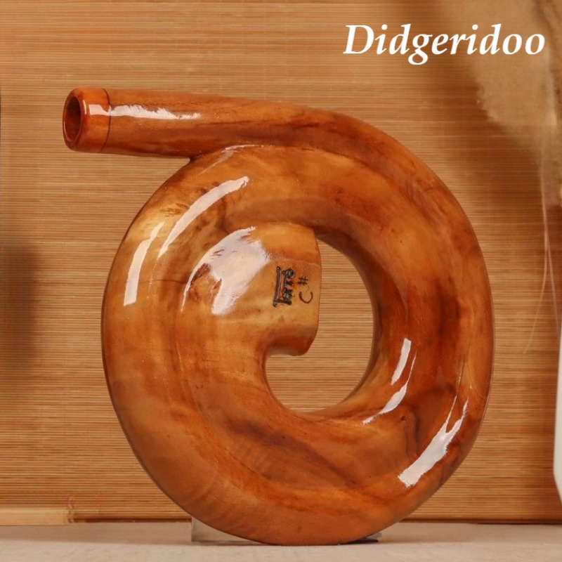 Didgeridoo a Spirale in Legno, - Musical Instrument Didgeridoo recensione e prezzo
