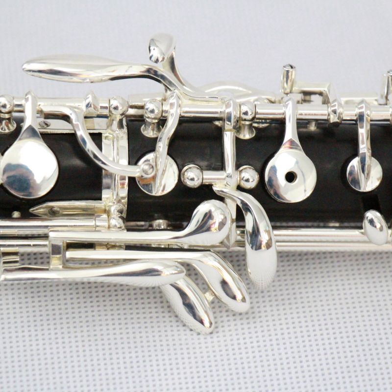 Oboe in Legno d'Ebano Placcato - Musical Instrument Oboe recensione e prezzo