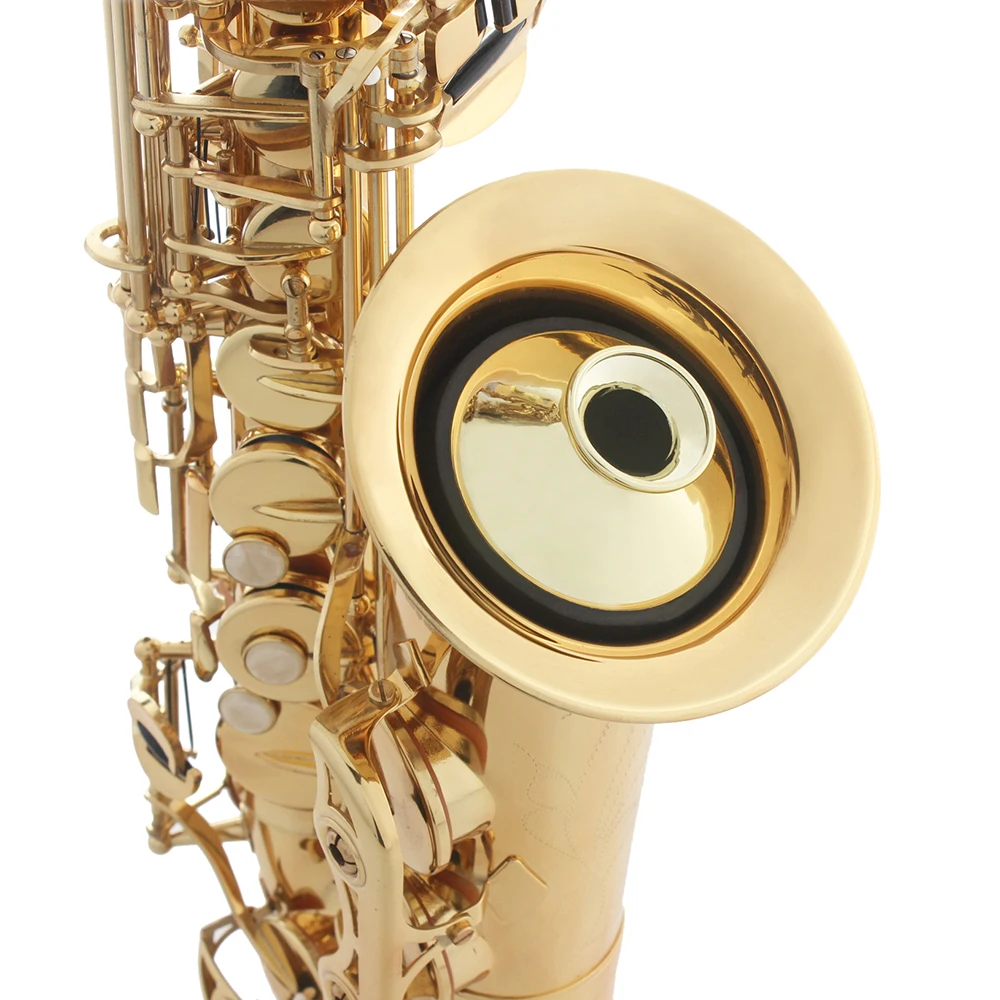 Silenziatore per sassofono con - Musical Instrument Oboe recensione e prezzo