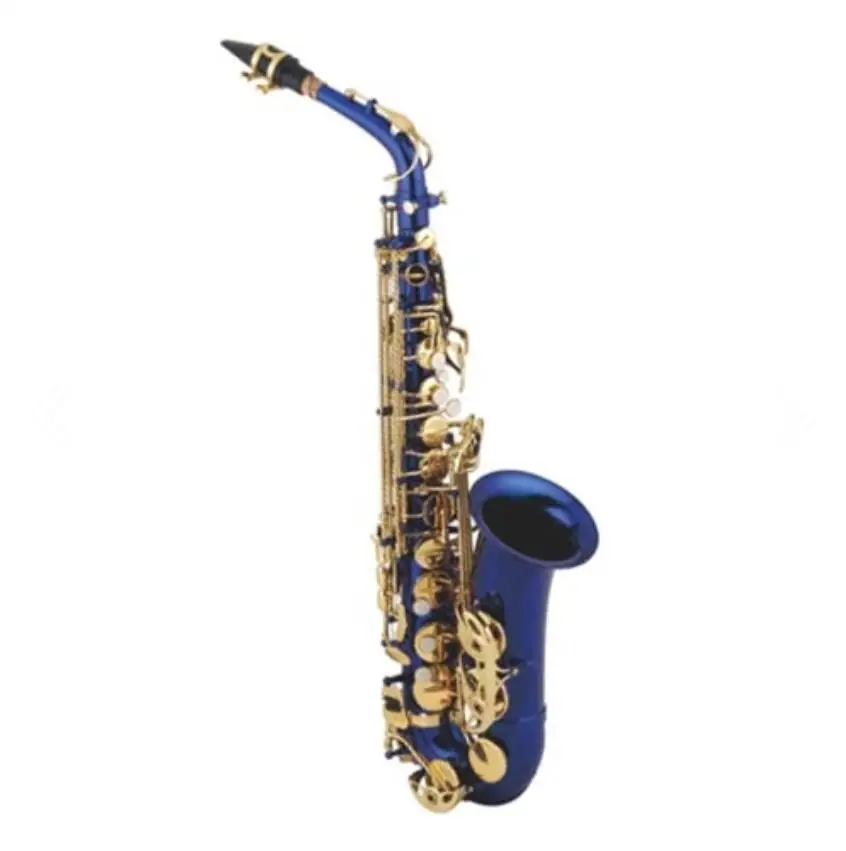 Sassofono Contralto Profession - Musical Instrument Logo recensione e prezzo