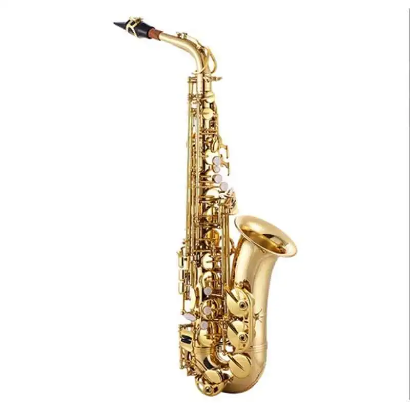 Sassofono Contralto Profession - Musical Instrument Logo recensione e prezzo