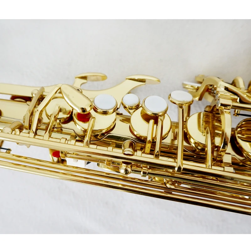 Sassofono Contralto Profession - Musical Instrument Logo recensione e prezzo